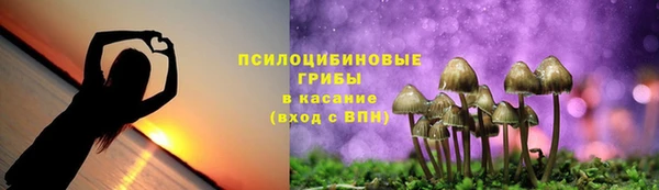 дурь Богданович