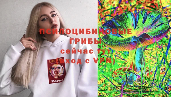 а пвп мука Богородицк
