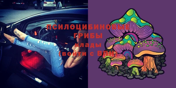 гашик Богородск