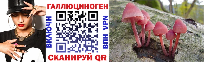 omg сайт  дарнет шоп  Верхоянск  Псилоцибиновые грибы Cubensis 